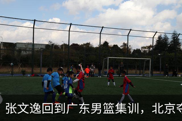 张文逸回到广东男篮集训，北京夺冠功勋确定退役，上海欲续约弗格