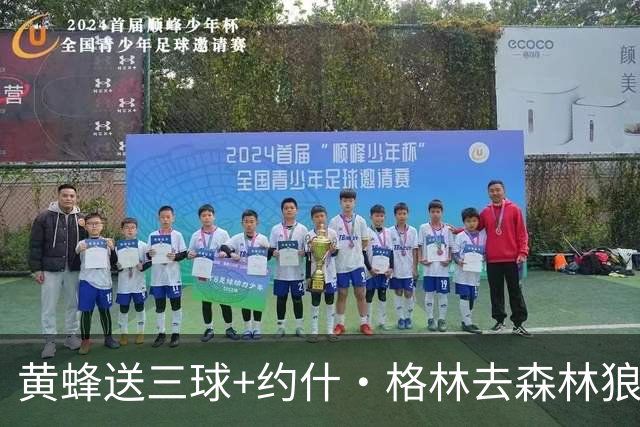 黄蜂送三球+约什·格林去森林狼 换里德+1首轮+3互换+3次轮